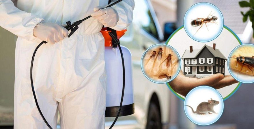 Ümraniye Böcek İlaçlama