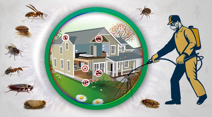 Ümraniye Böcek İlaçlama