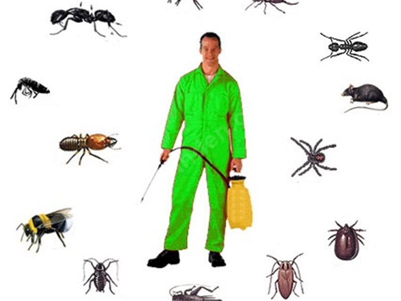 Ümraniye Böcek İlaçlama